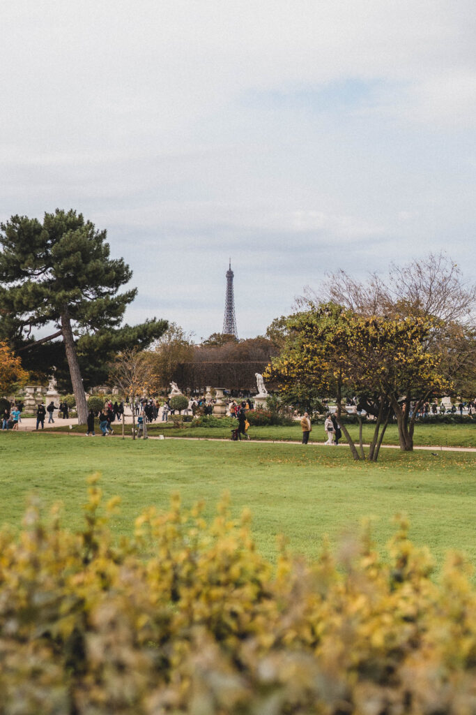 eiffel tower jardin des tuileries