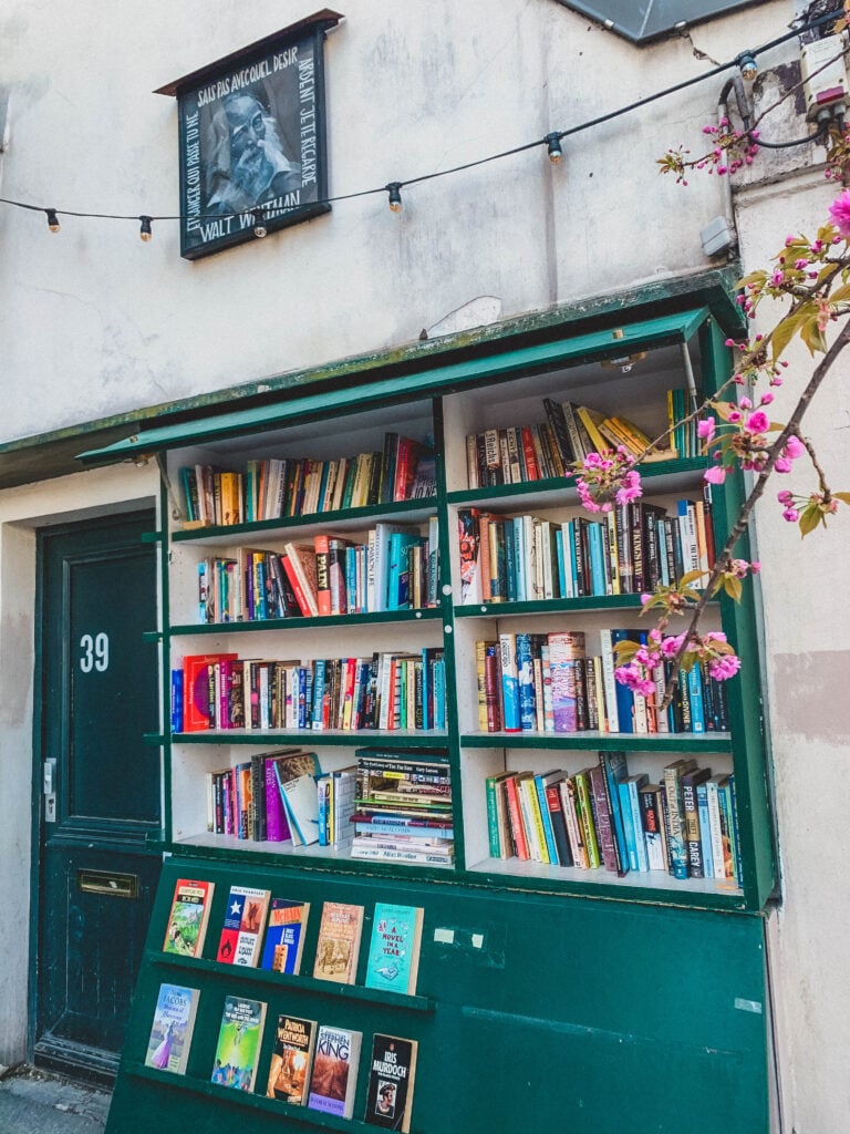 cherry blossoms at shakespeare and company