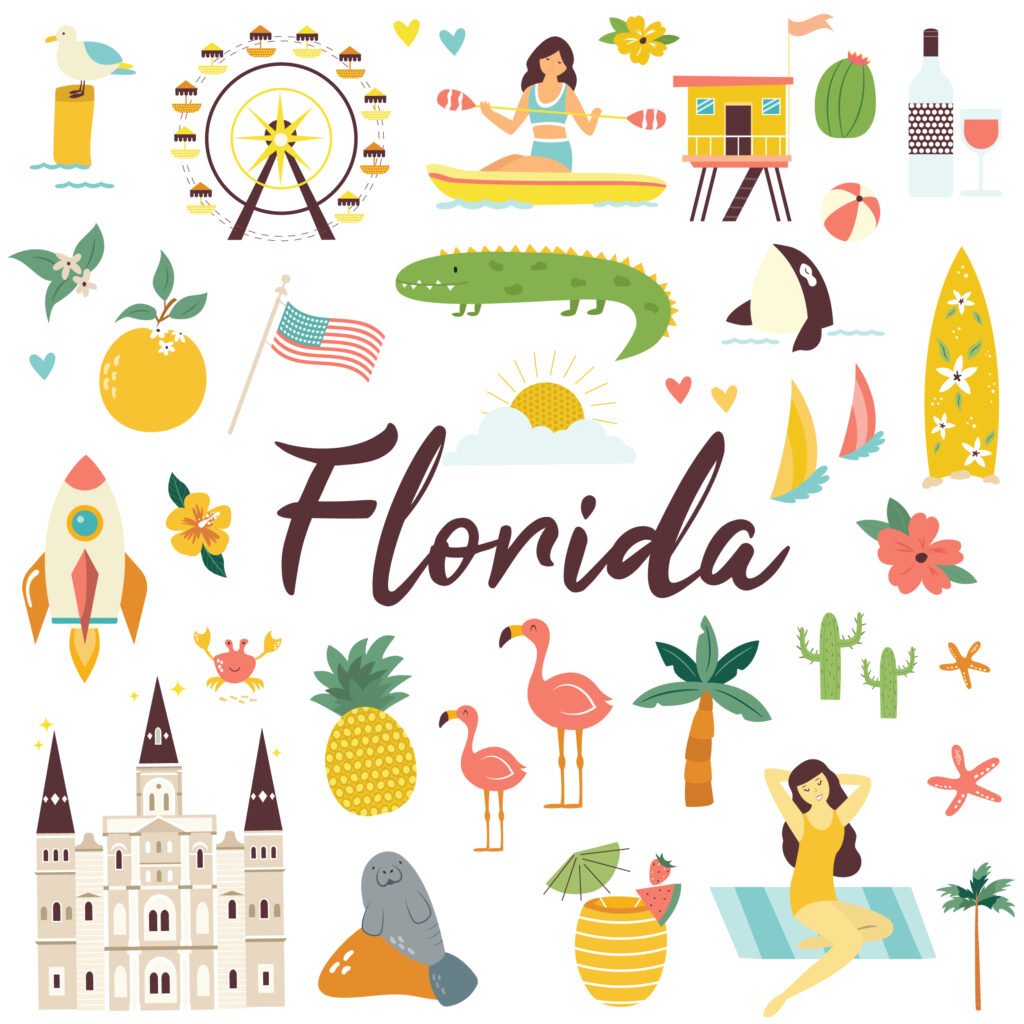 florida illustration