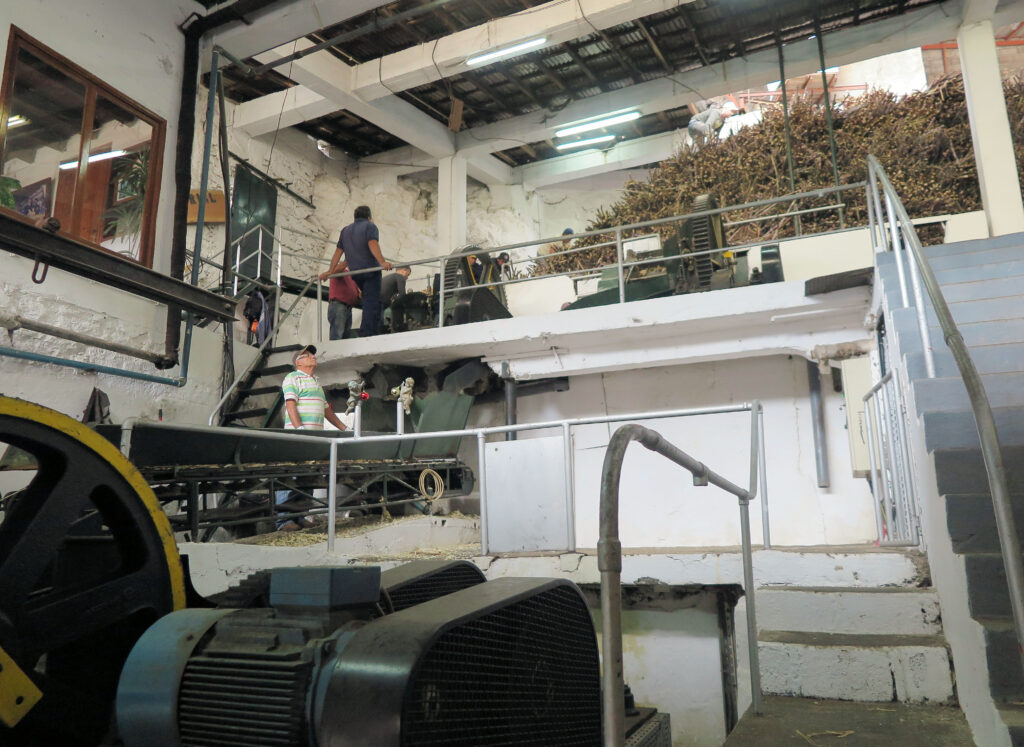 madeira sugar cane factory