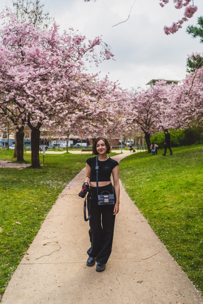 martin luther king park blossom