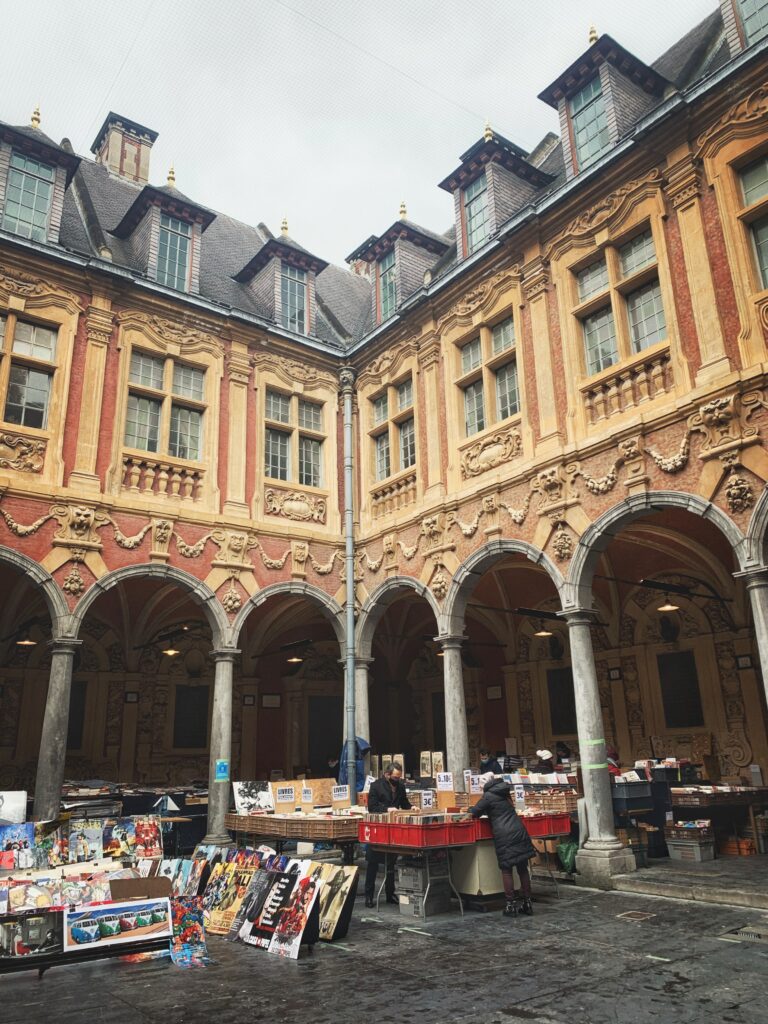 How to Visit the Vieille Bourse Book Market in Lille