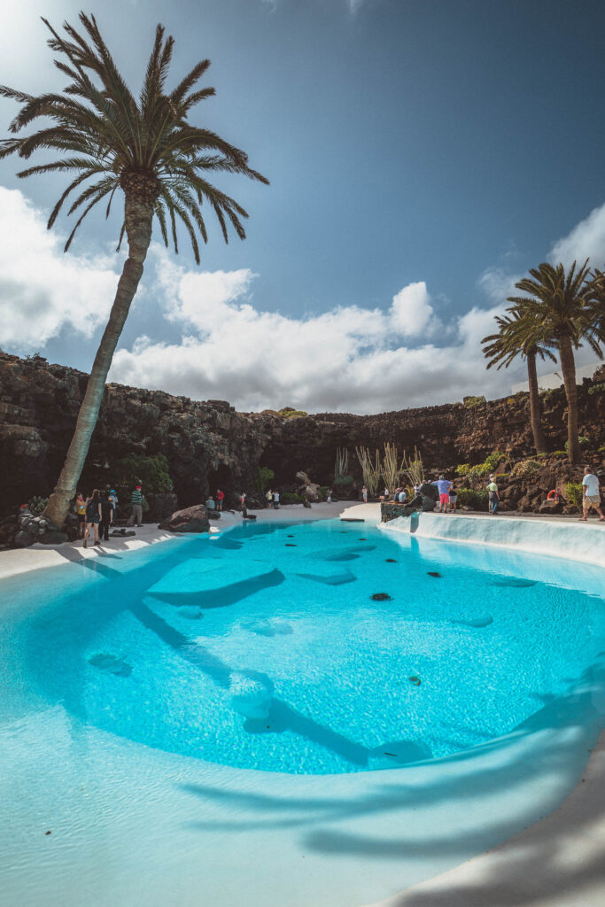 palm tree pool at jameos del agua