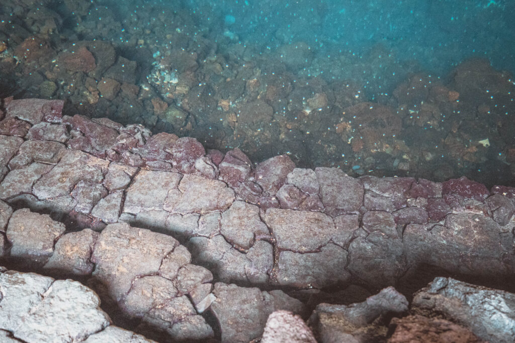 jameos del agua water