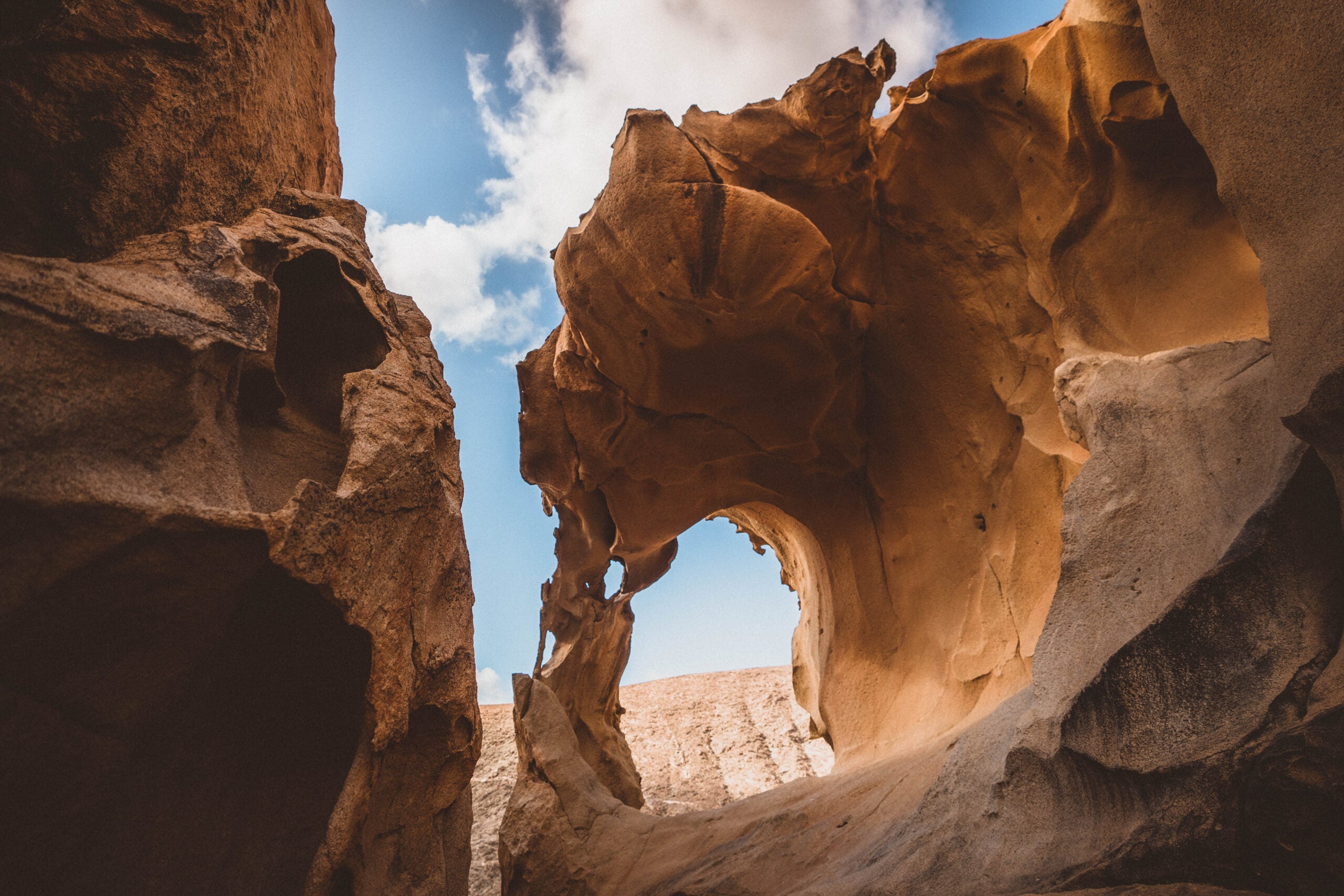 An Insider’s Guide to the Top Activities in Fuerteventura