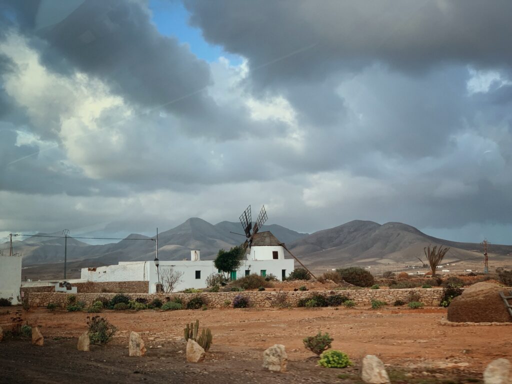windmill puerto del rosario