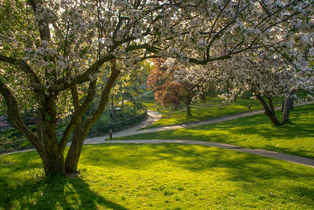 high park in toronto