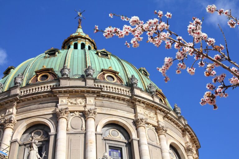 Copenhagen Cherry Blossoms