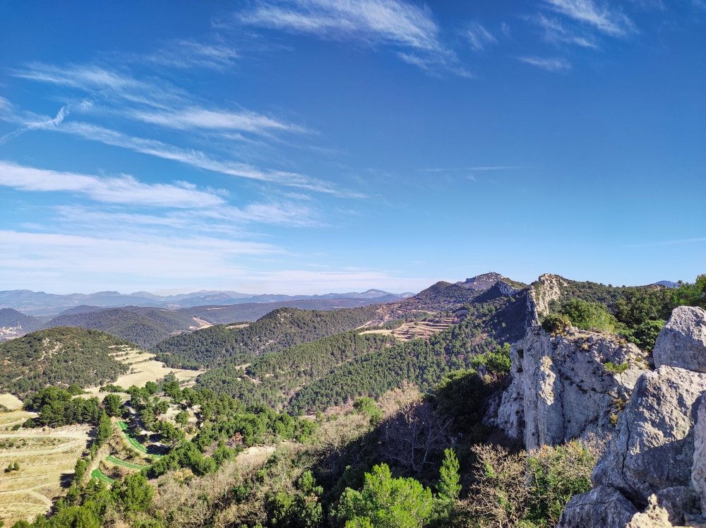 Dentelles de Montmirail