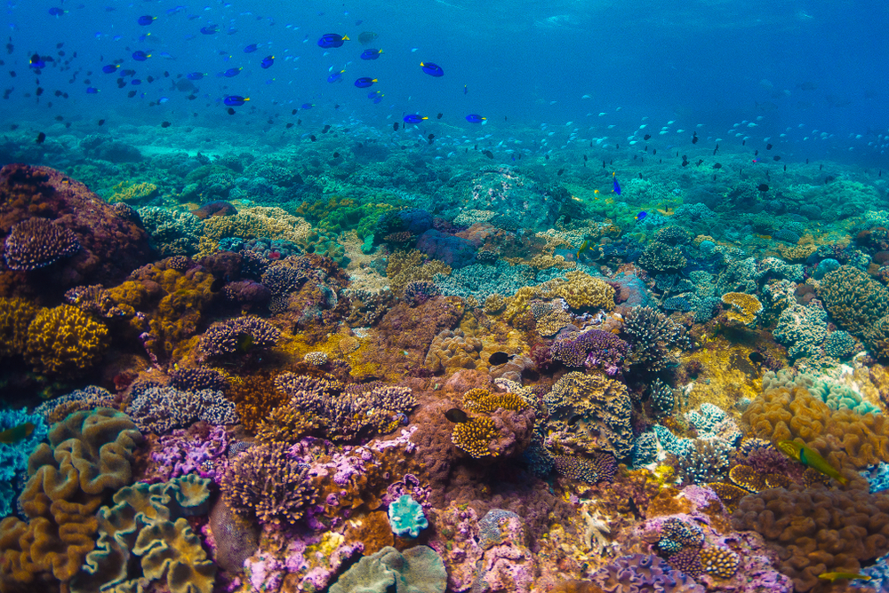 Great Barrier Reef