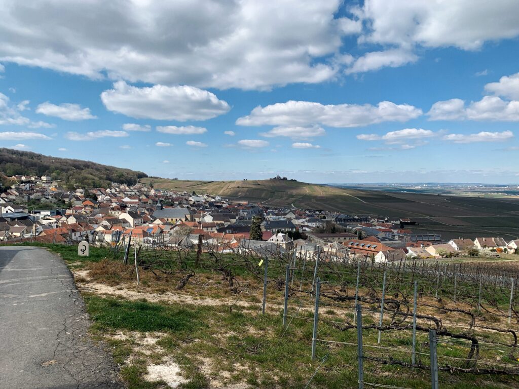 phare de verzenay view