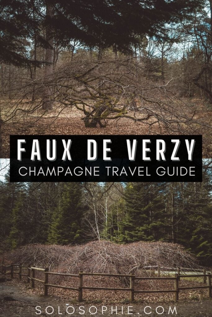 verzy forest champagne north east france/ How to Visit the Faux de Verzy champagne france europe