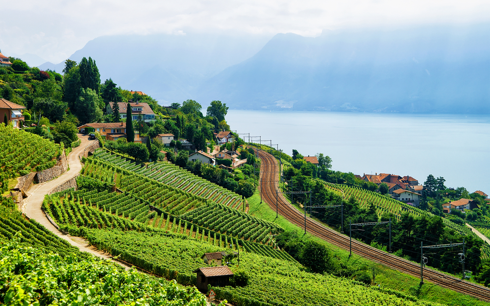 Vineyard Terraces of Lavaux