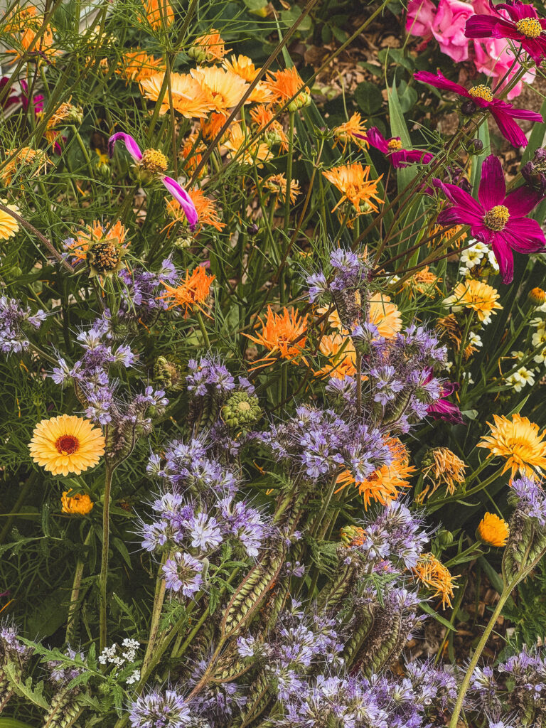 Behind the Scenes of an Eco-Farm in Brittany: La Ferme de Keruzerh