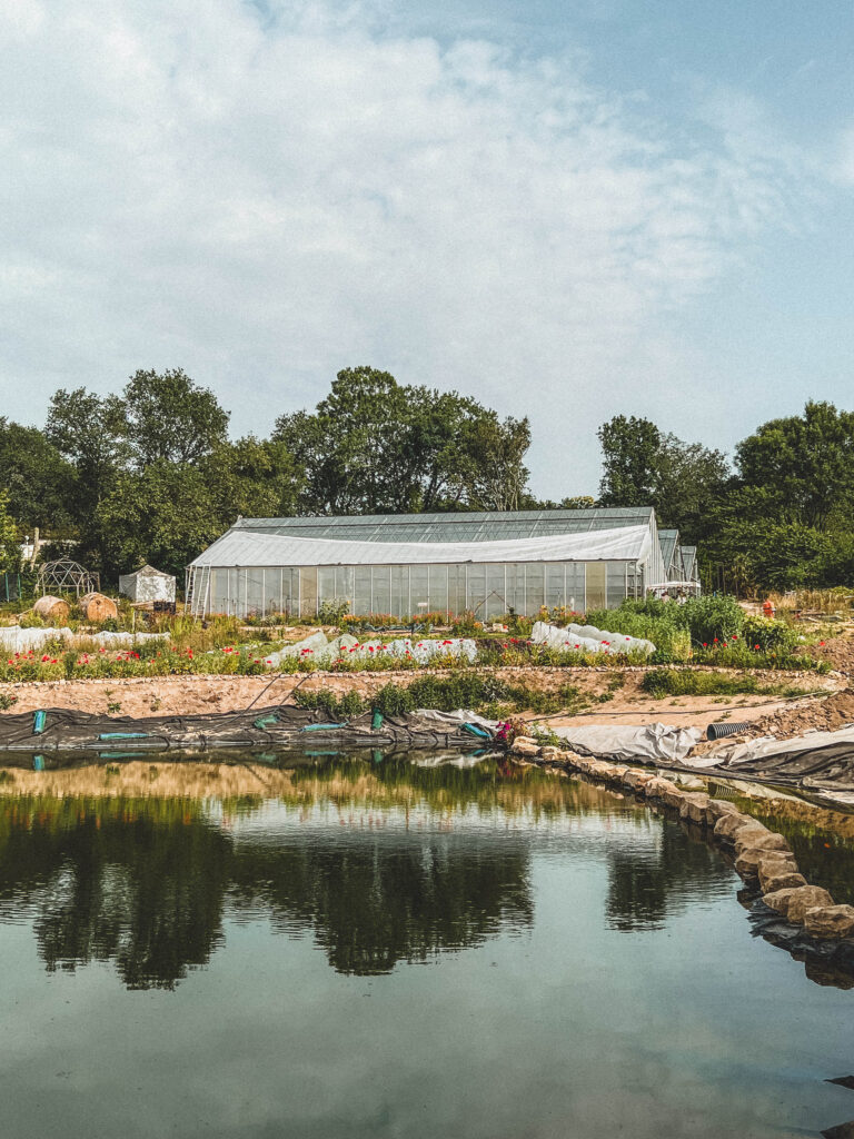 Behind the Scenes of an Eco-Farm in Brittany: La Ferme de Keruzerh