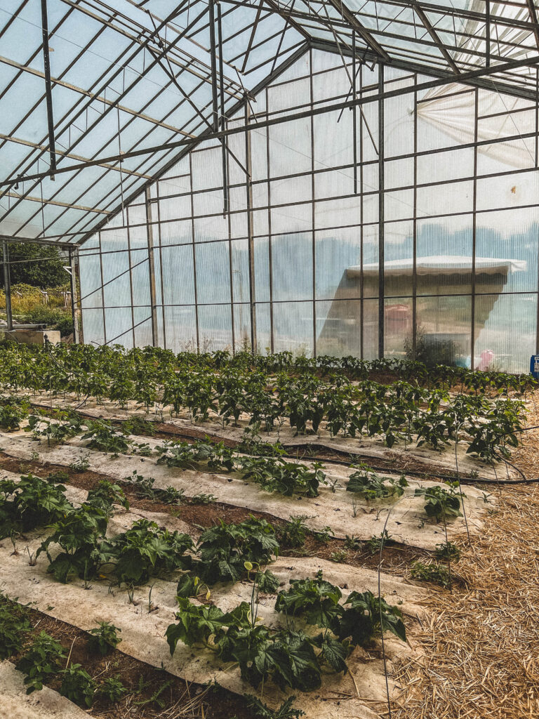 Behind the Scenes of an Eco-Farm in Brittany: La Ferme de Keruzerh