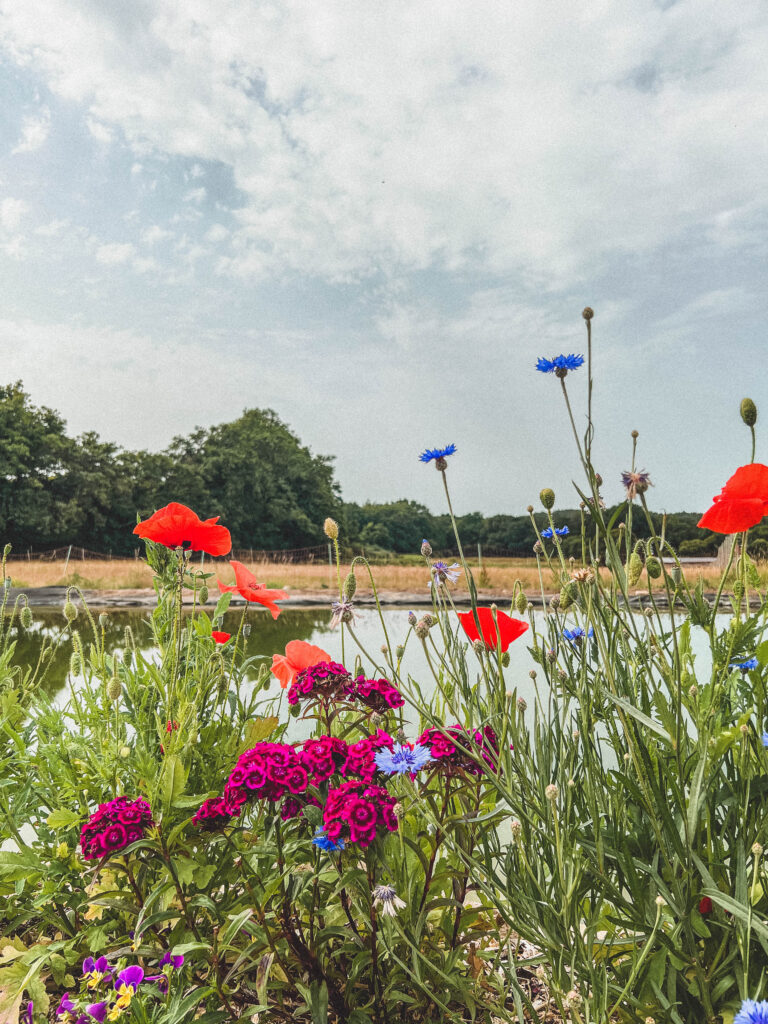 exterior brittany eco farm