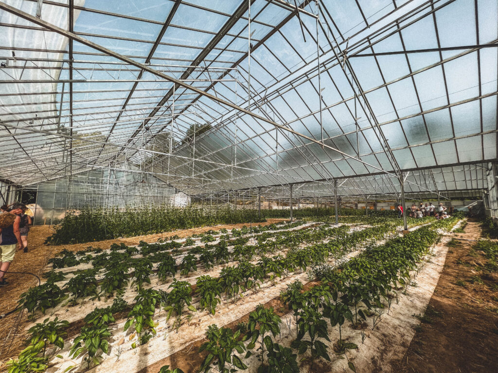 greenhouse eco farm brittany