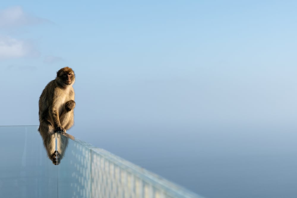 skywalk gibraltar