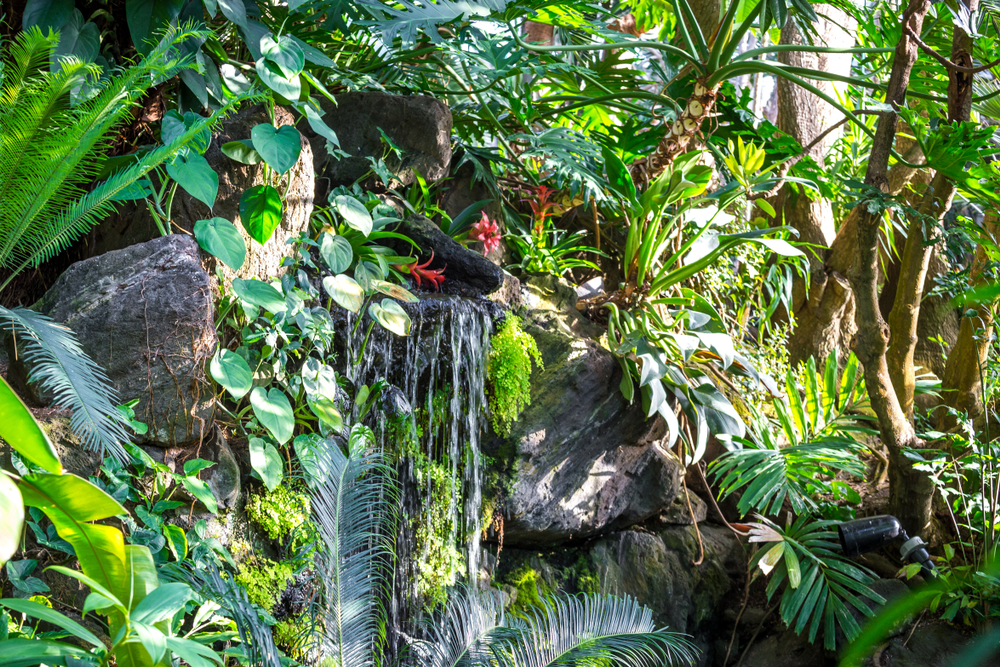 Bloedel Conservatory 
