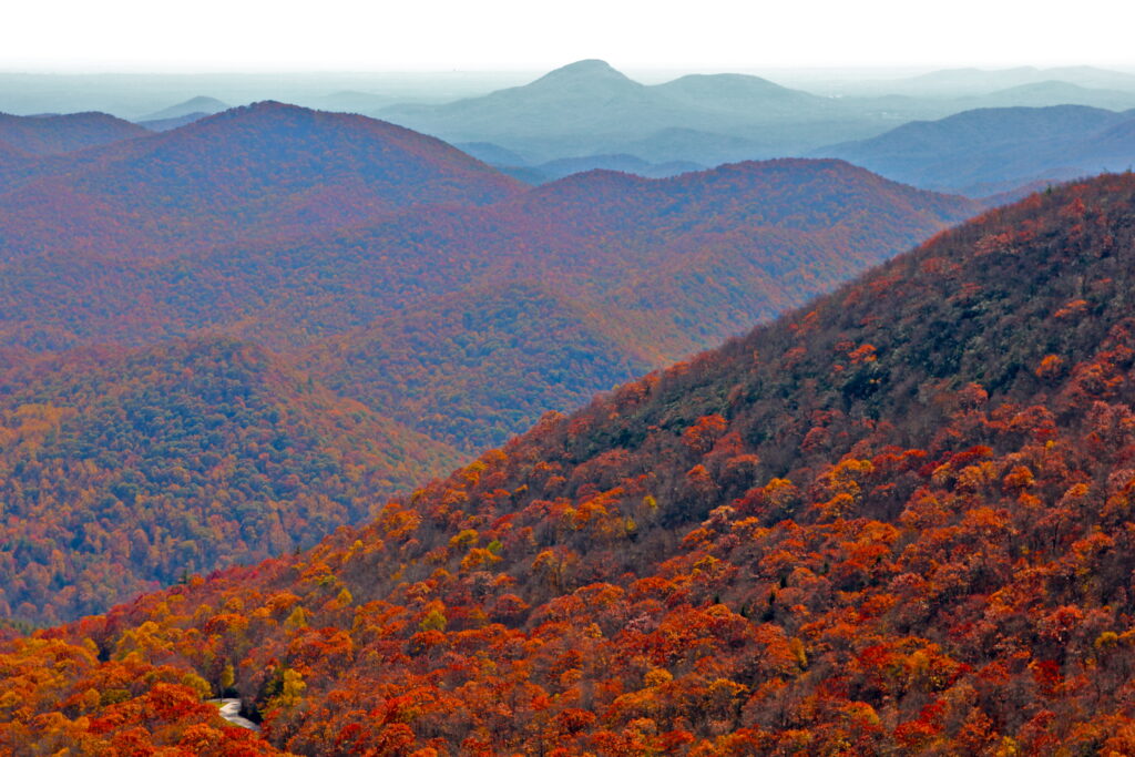 brasstown bald fall colours