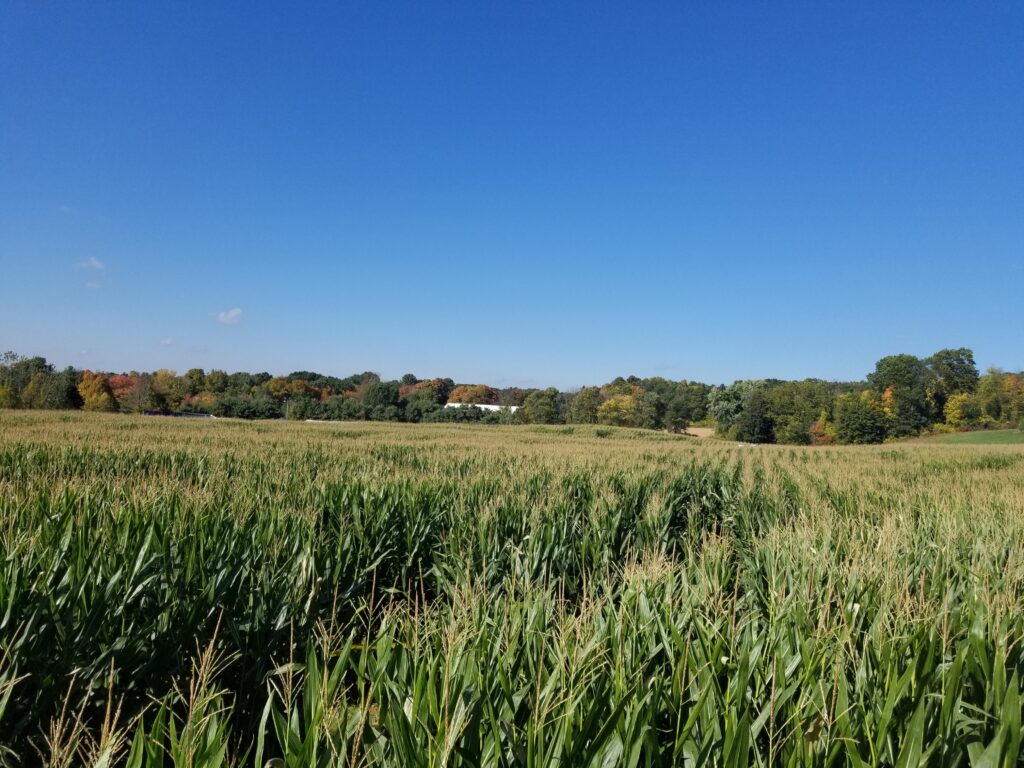 farm in conneticut