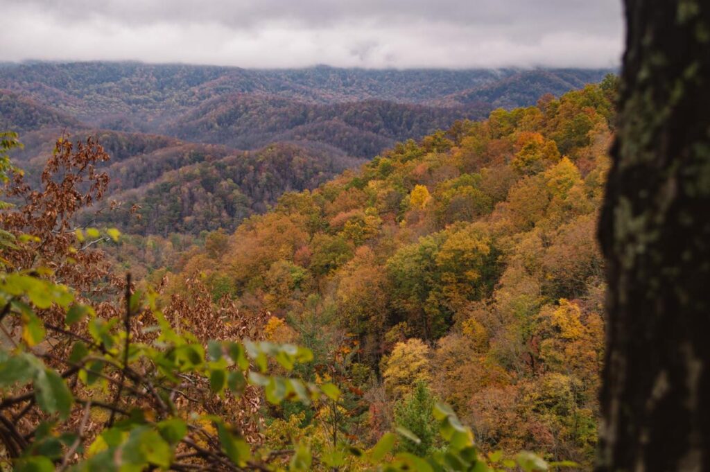 great smoky mountains