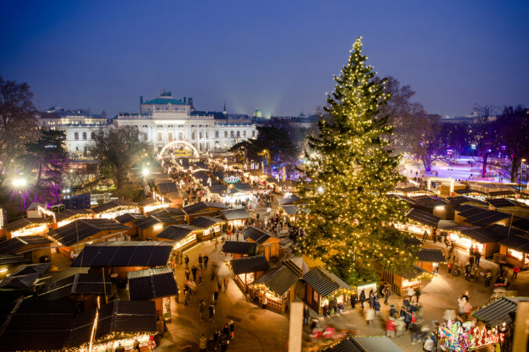 vienna christmas market