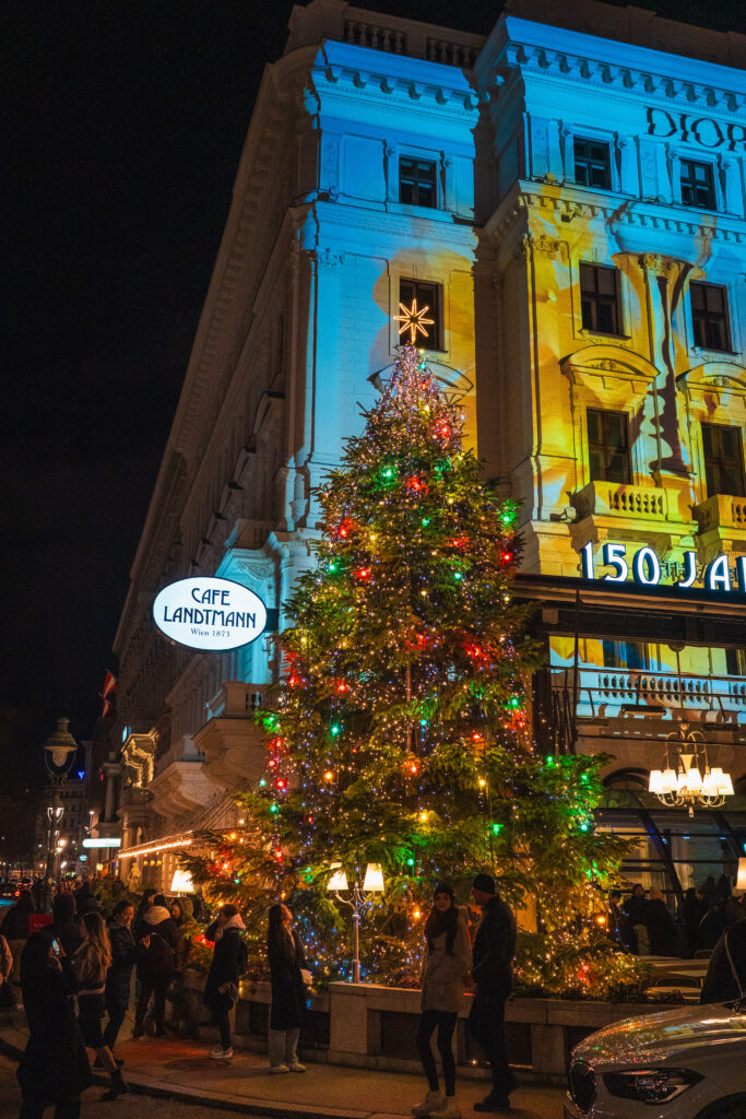 christmas tree in vienna