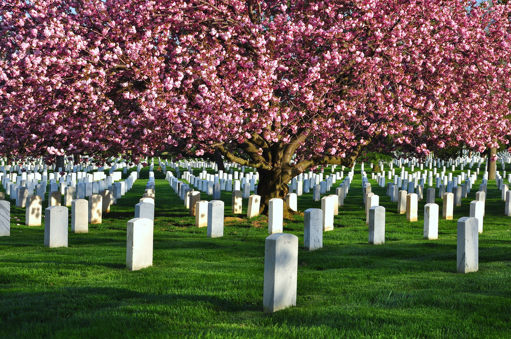 Arlington National Cemetery