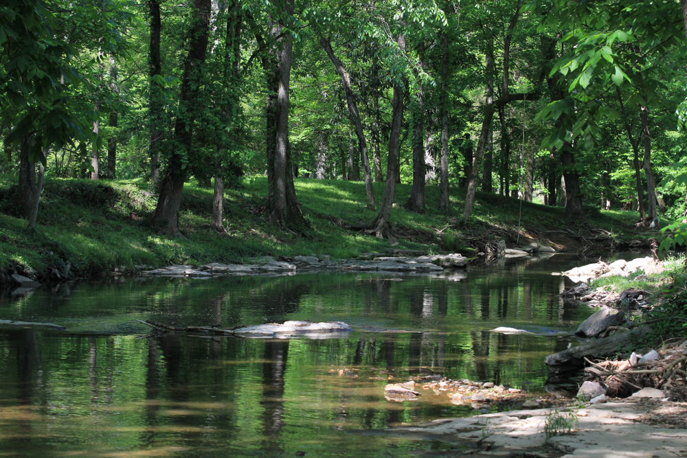 Richland creek in Belle Meade