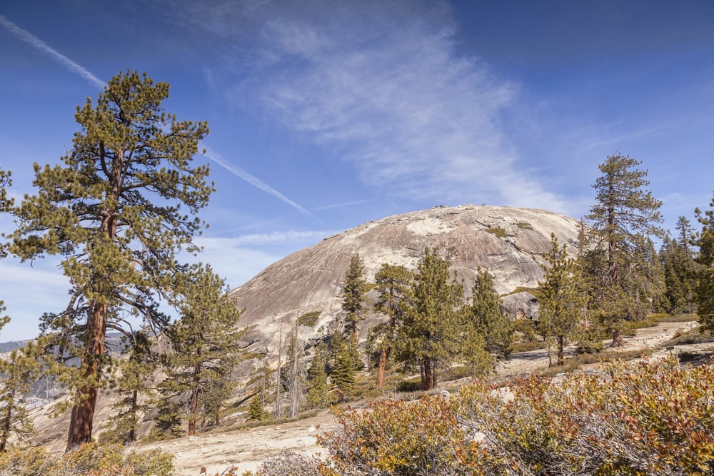 Sentinel Dome