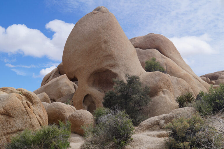skull rock joshua tree
