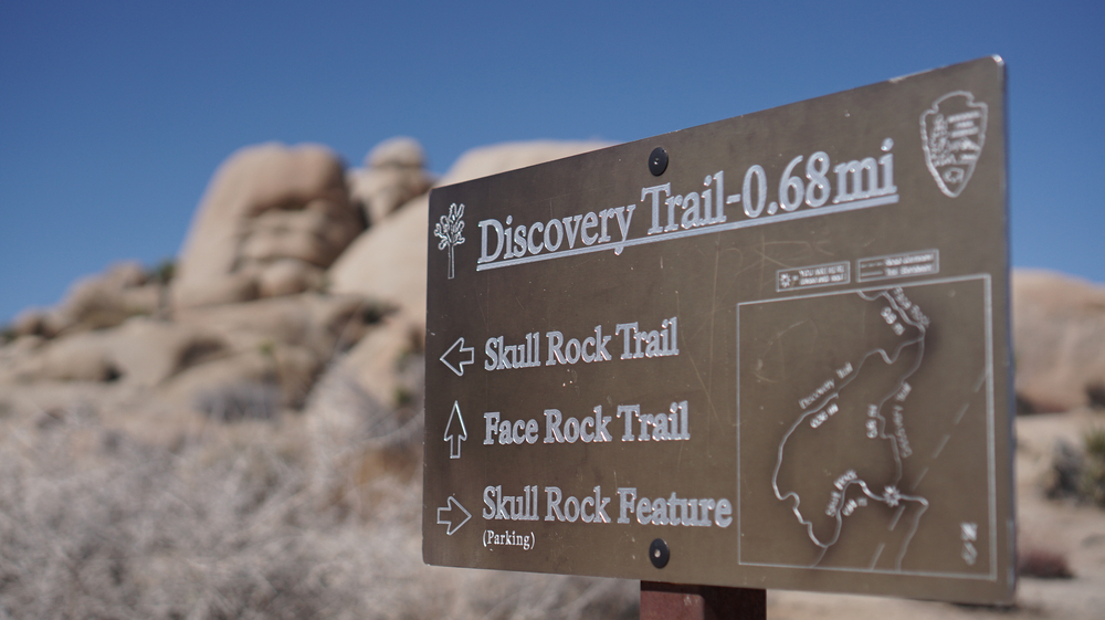 skull rock trail