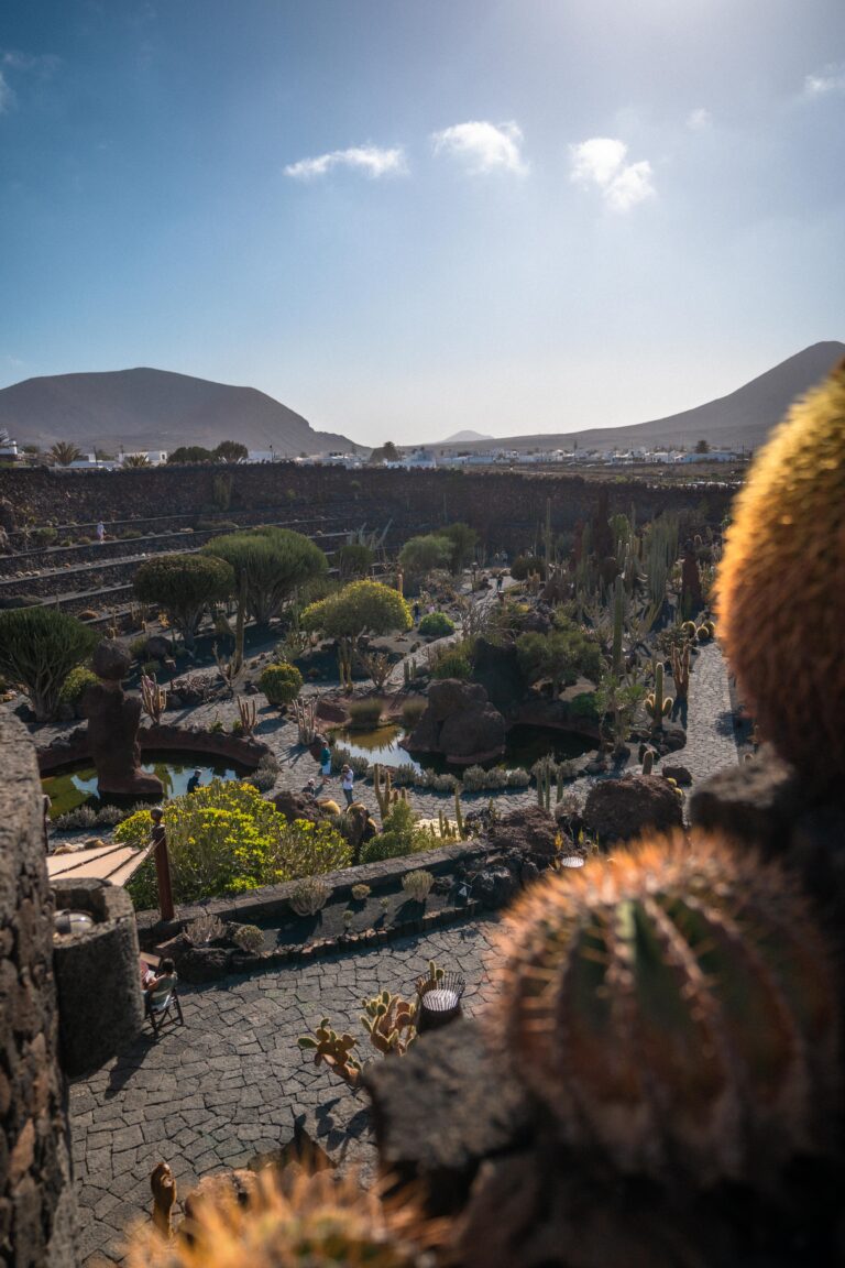 How to Visit Jardín de Cactus in Lanzarote