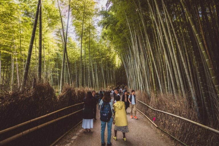 How to Visit the Arashiyama Bamboo Grove, Kyoto