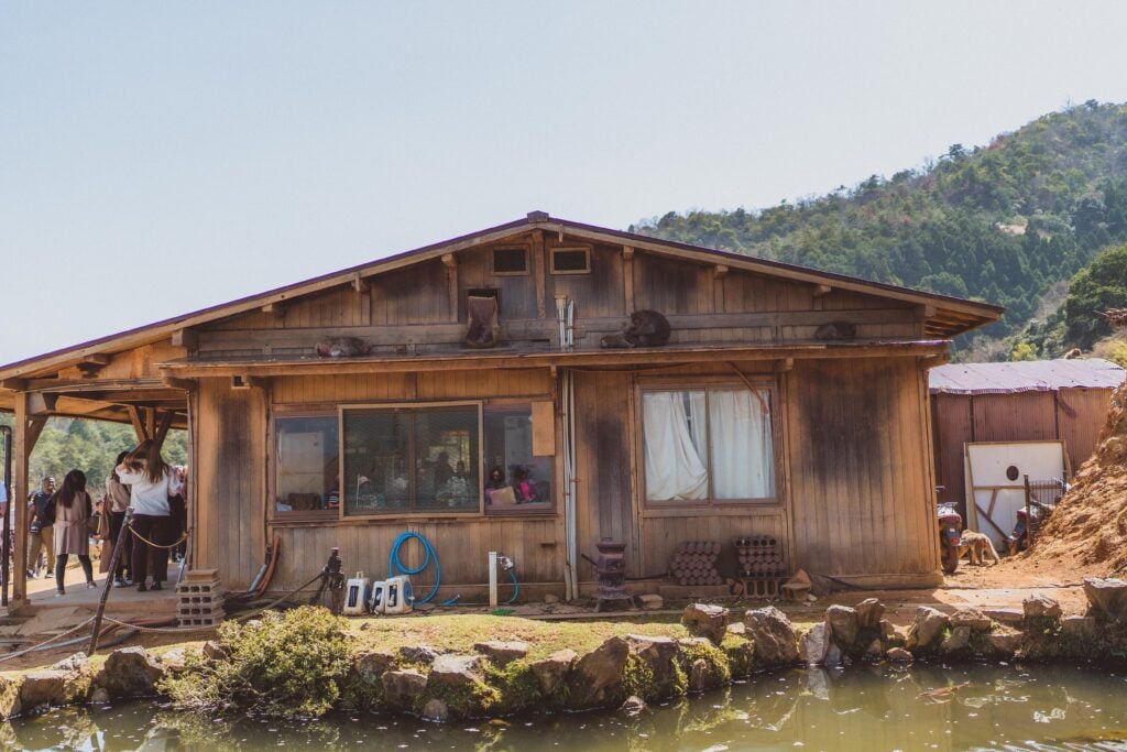 arashiyama monkey park