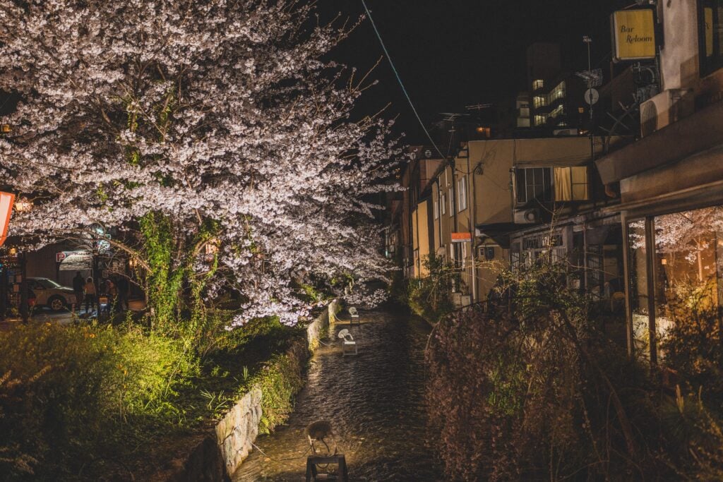 night in kyoto