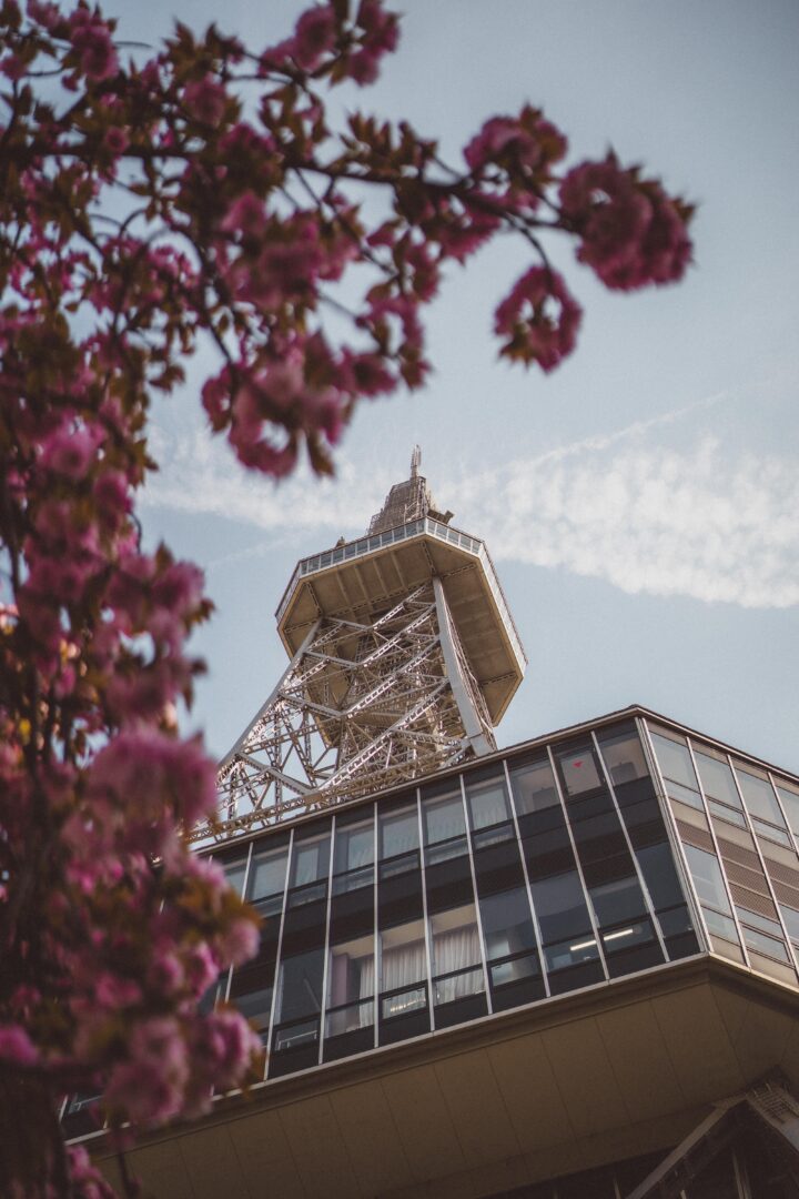 a-guide-to-the-best-things-to-do-in-nagoya-japan-solosophie