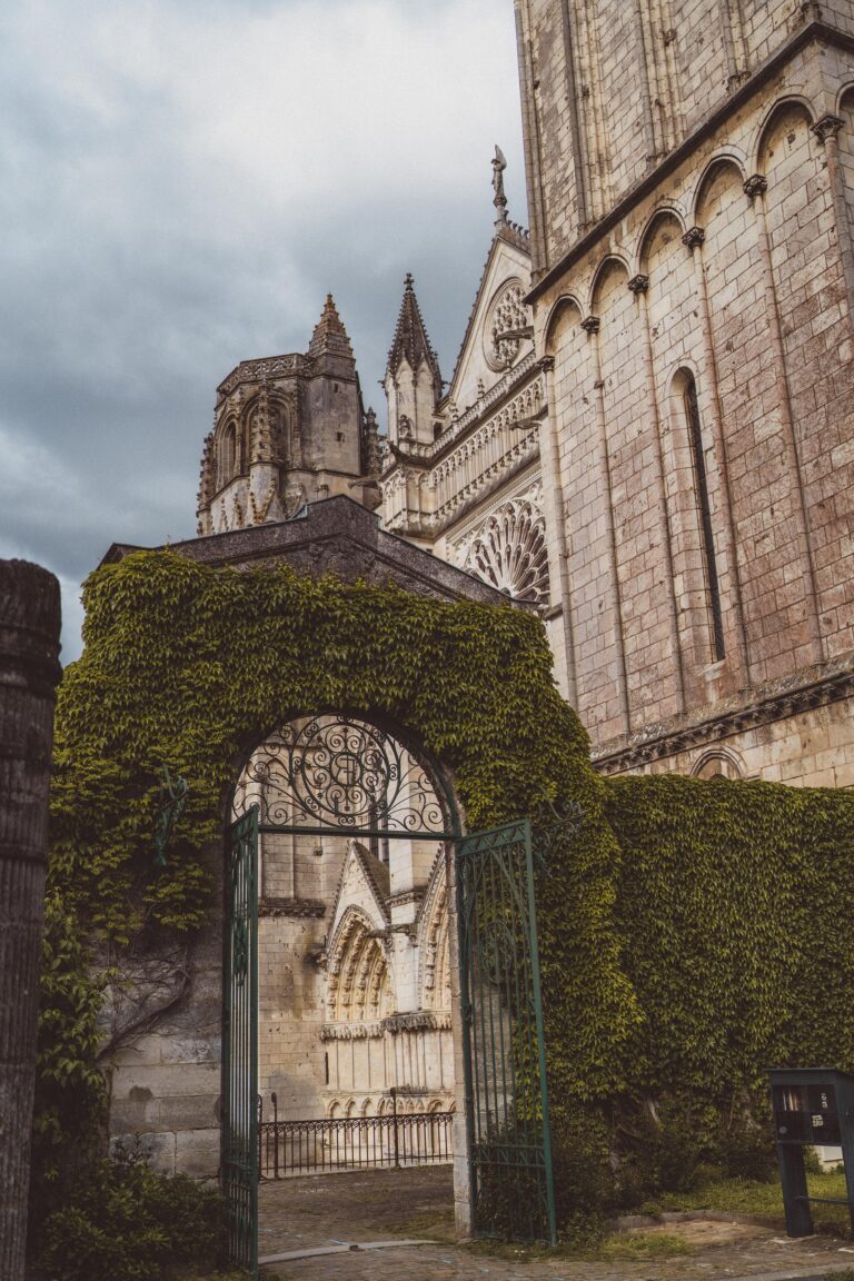 An Insider's Guide to the Best Things to do in Poitiers