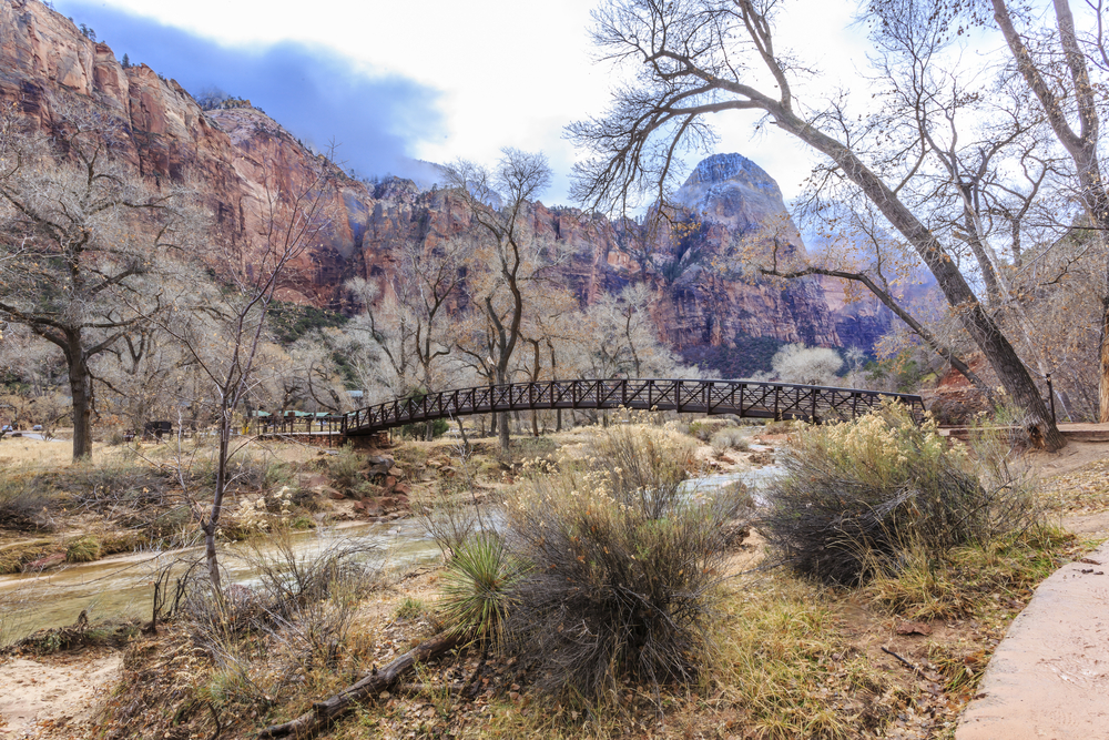 The path to the Emerald Pools at Zion National Park