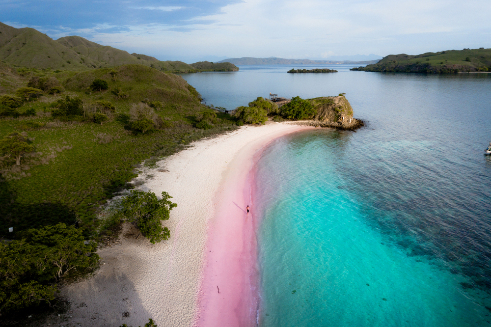  pink sand beach