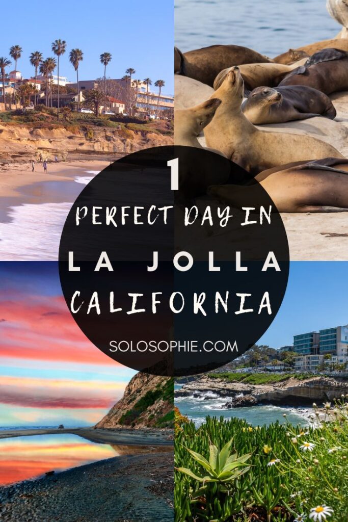 How to Spend the Perfect One Day in La Jolla Itinerary/ california guide