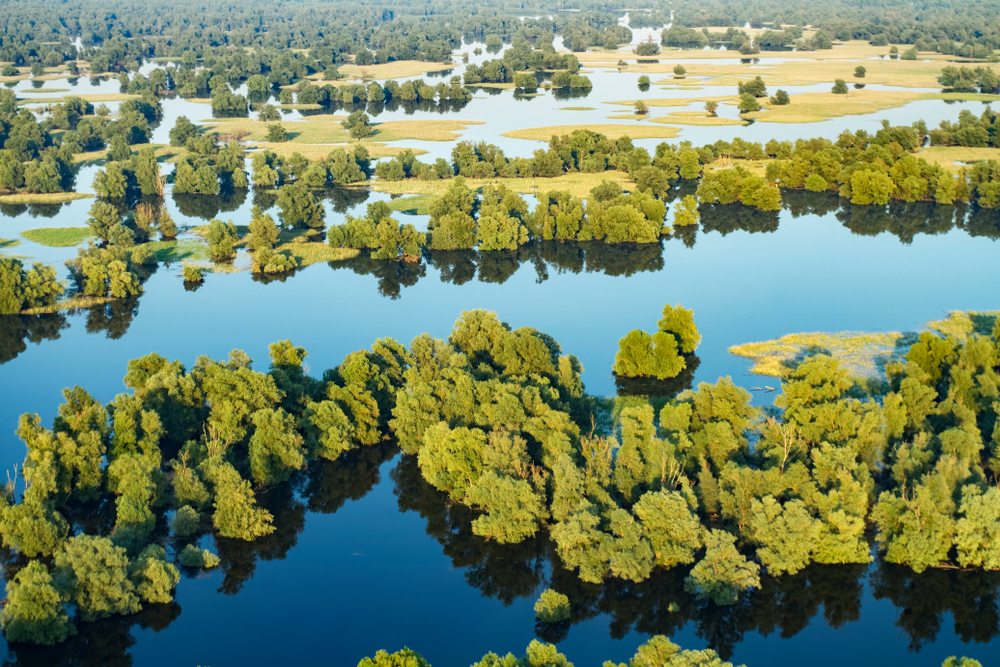 Kopacki Rit Nature Park