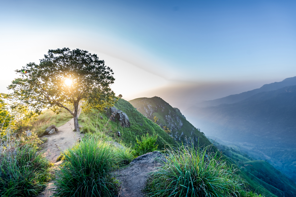  little adam's peak in Ella