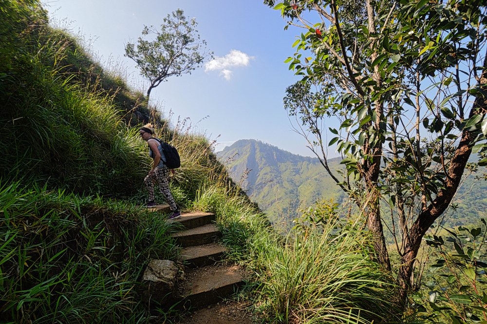 little adams peak trail