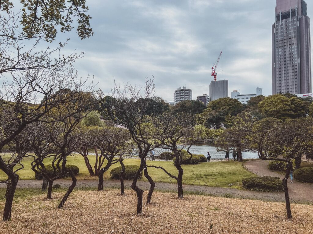 shinjuku gyoen garden
