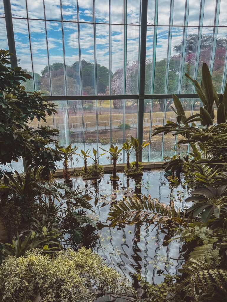 How to Visit Shinjuku Gyoen National Garden