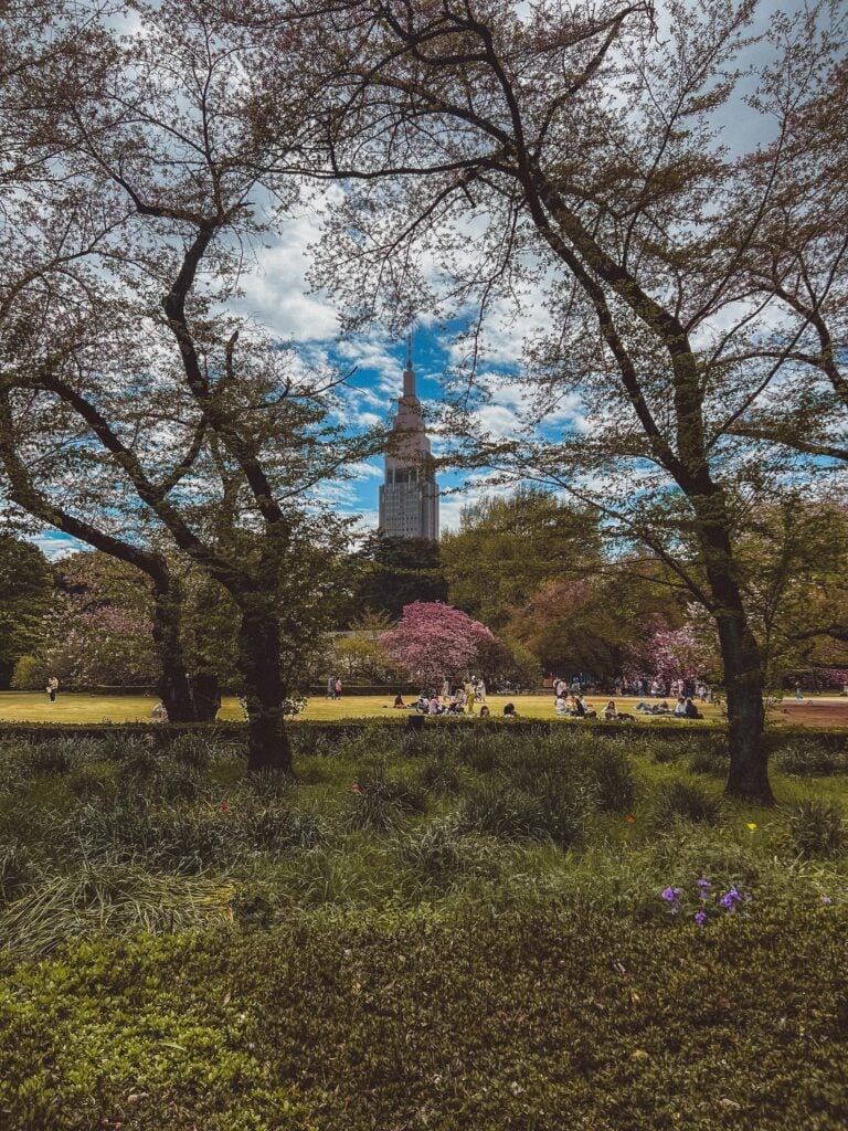 shinjuku gyoen grounds