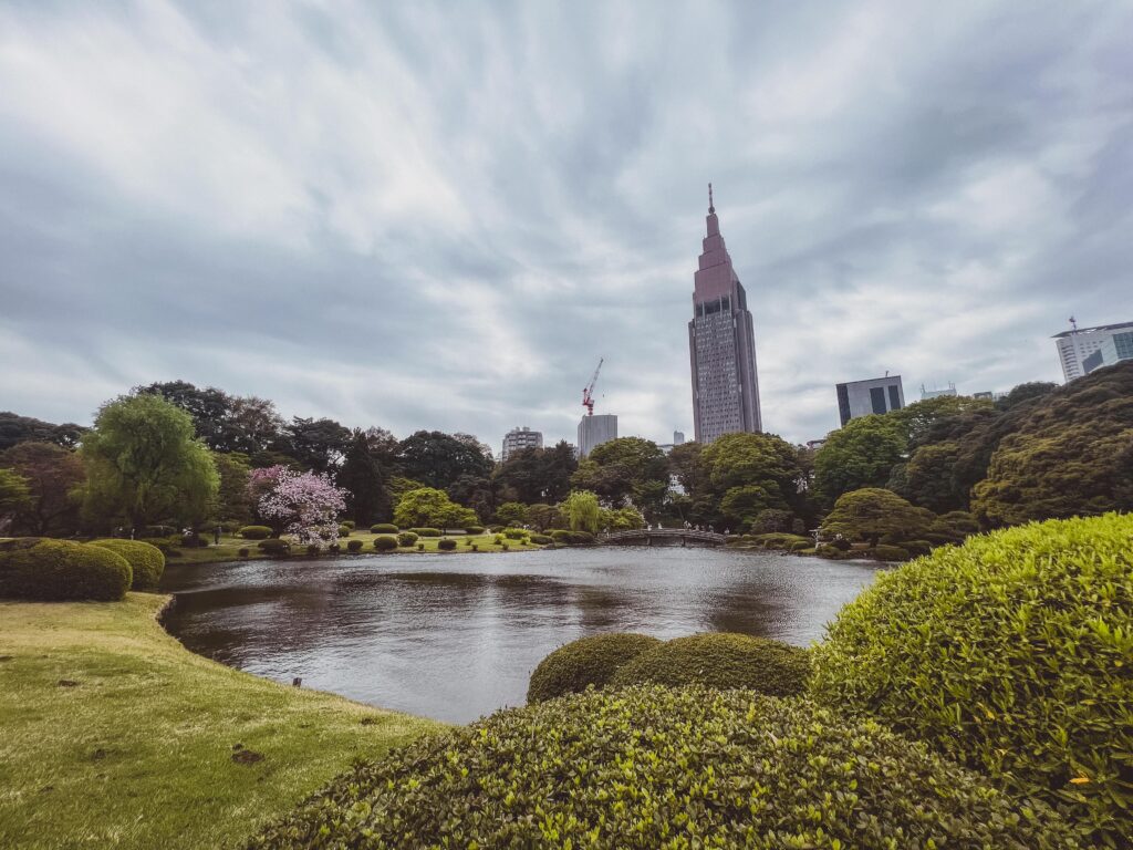 pond in shinjuku gyoen